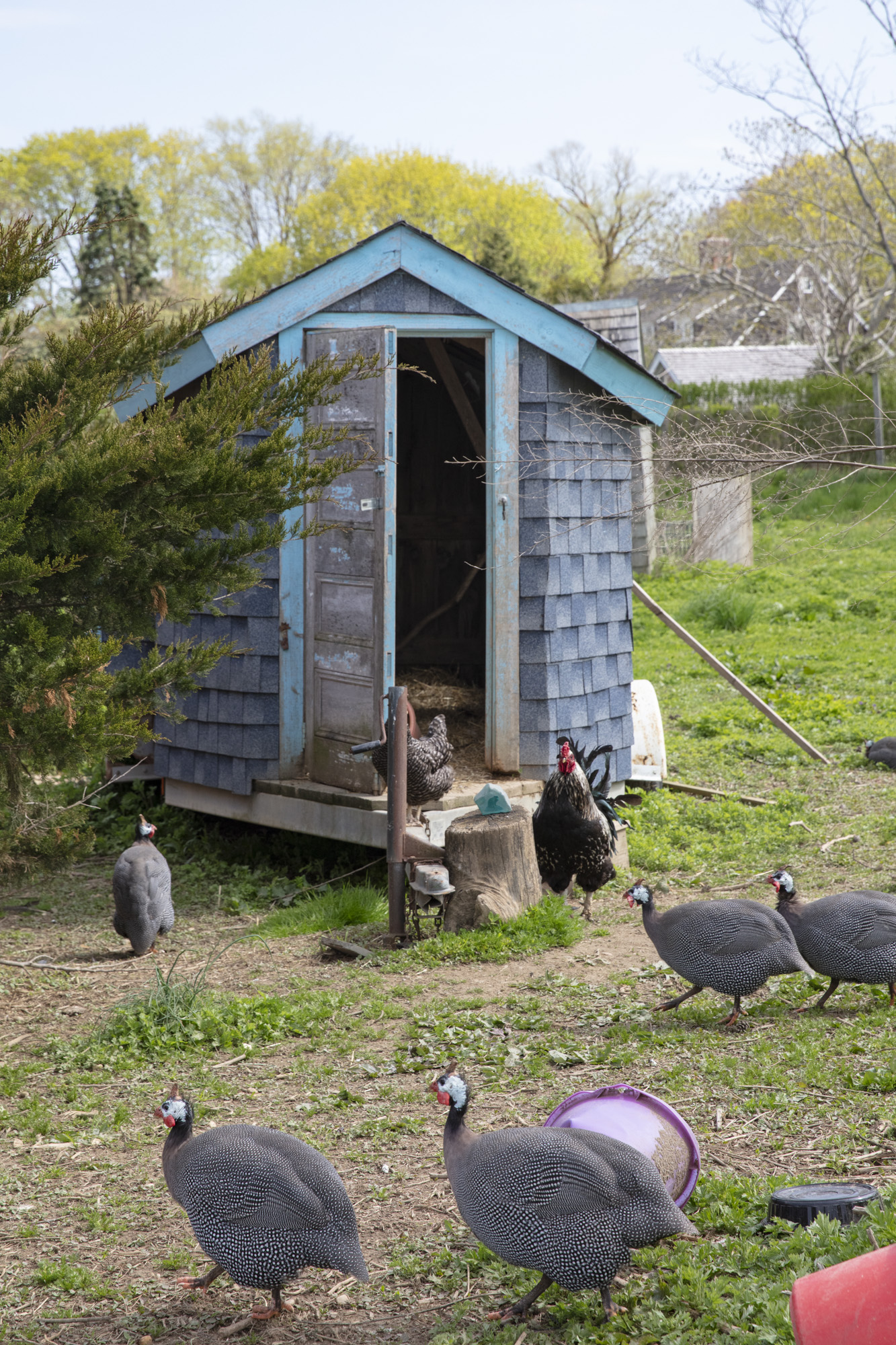 Photo of Sagaponack Farm Distillery