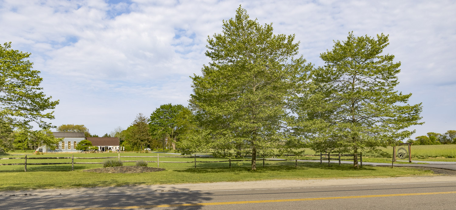 Photo of Sagaponack Farm Distillery
