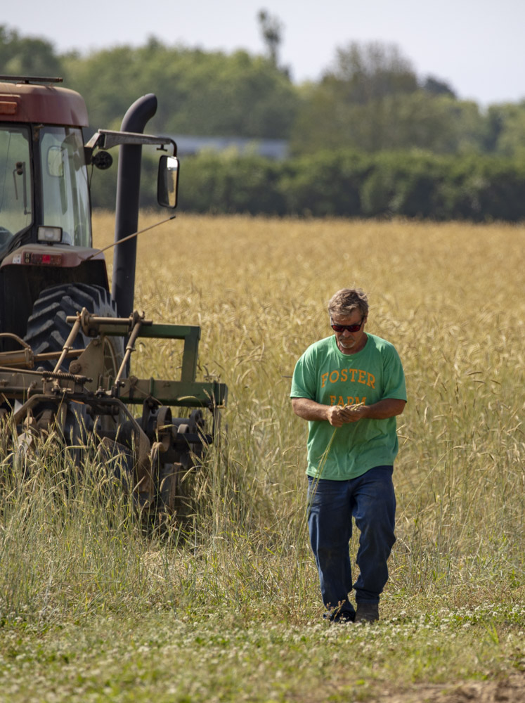 Photo of Sagaponack Farm Distillery